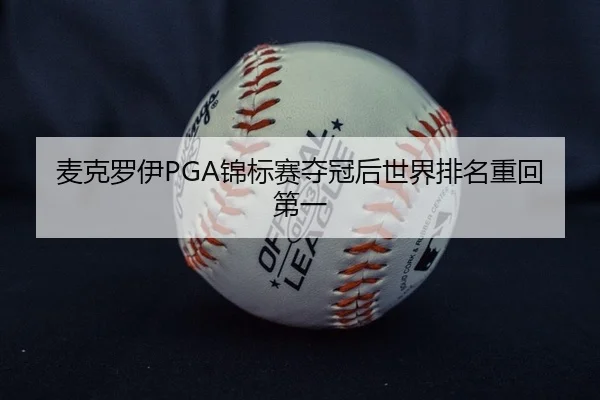 mai-ke-luo-yi-jin-biao-sai-duo-guan-hou-shi-jie-pai-ming-zhong-hui-di-yi-2-378.jpg